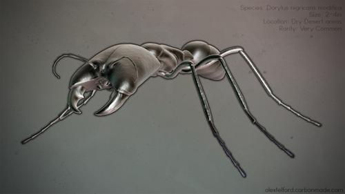 Ant topology study preview image